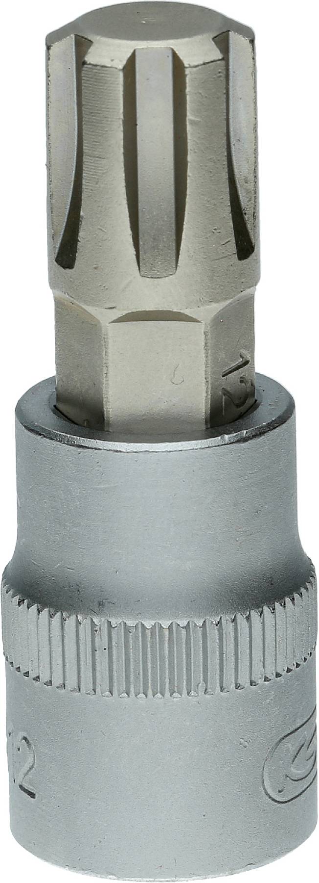 Torx-Bit mit 12-Kant-Profil auf einem Stecknussadapter, geeignet für den Einsatz mit einem Schraubenschlüssel oder einer Ratsche.