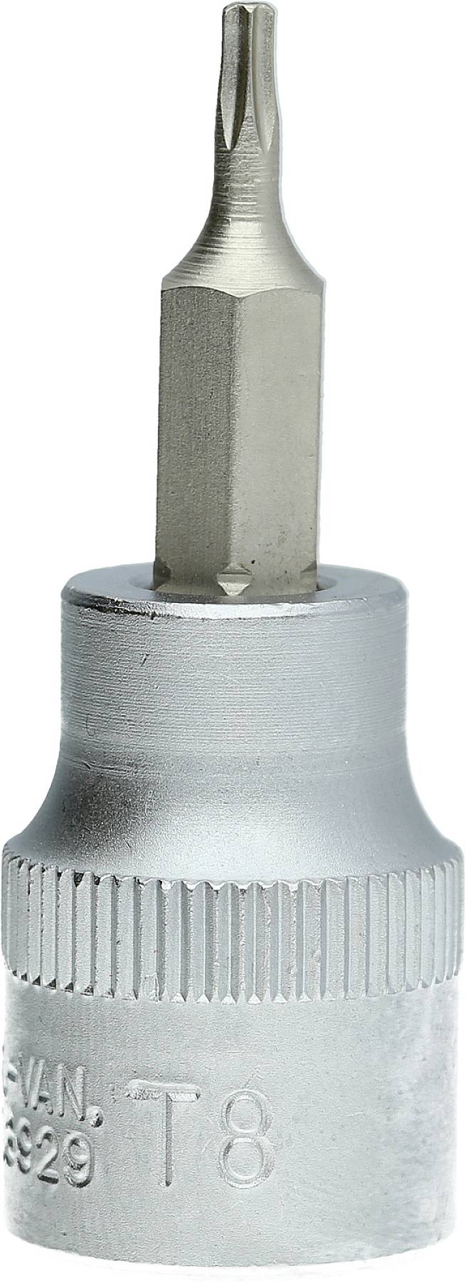 Torx-Bit T8 mit Sechskantschaft, silberfarbene Metallkonstruktion, zylindrische Basis für Schraubendreher oder Ratscheinsatz.