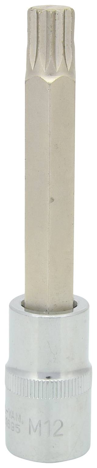 Stecknuss mit M12-Bit, geeignet für Vielzahn-Schrauben. Oberer Teil gezackt, unterer Teil zylindrisch mit Aufschrift 'M12'.