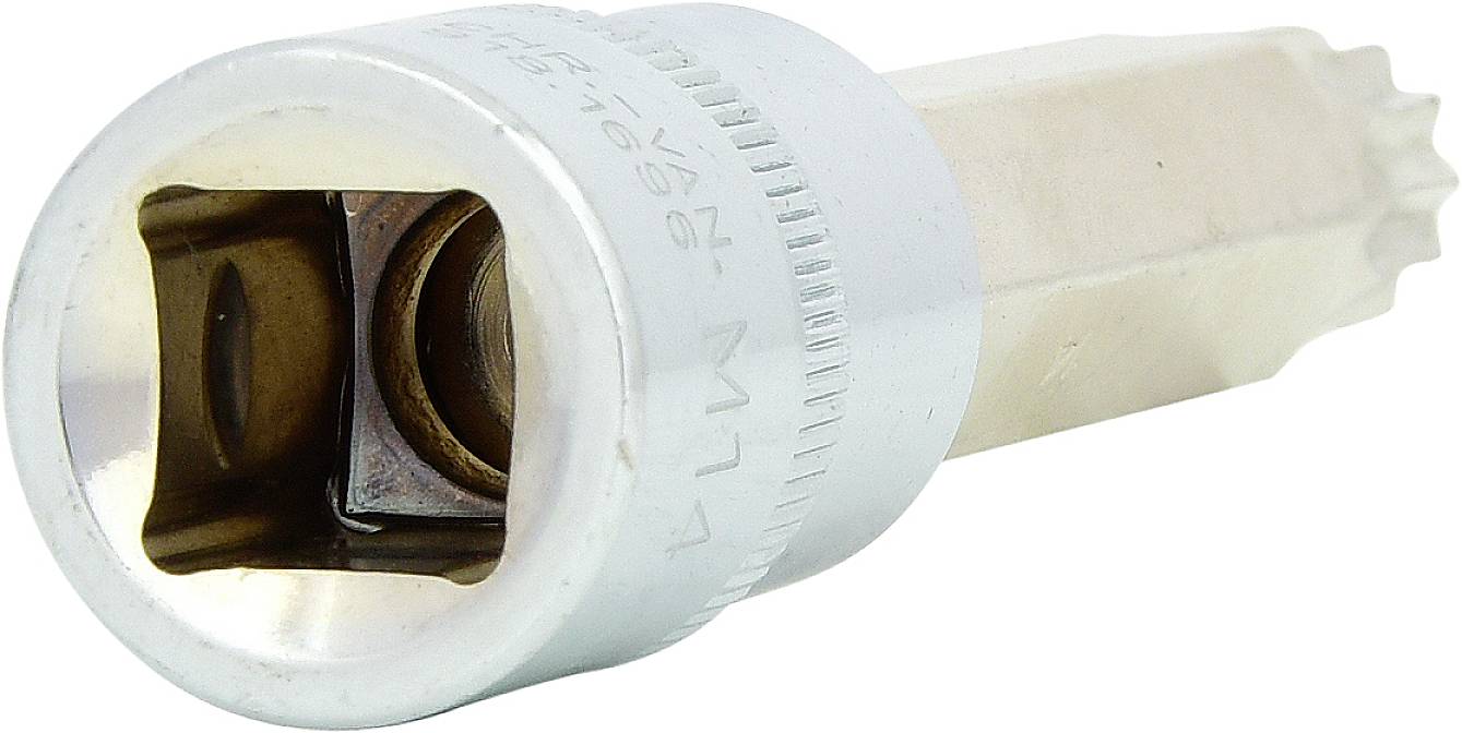 Ein silberner Vielzahnbit, oft für KFZ-Reparaturen verwendet. Hat eine 12-Zacken-Form und passt auf herkömmliche Schlagschraubgeräte.