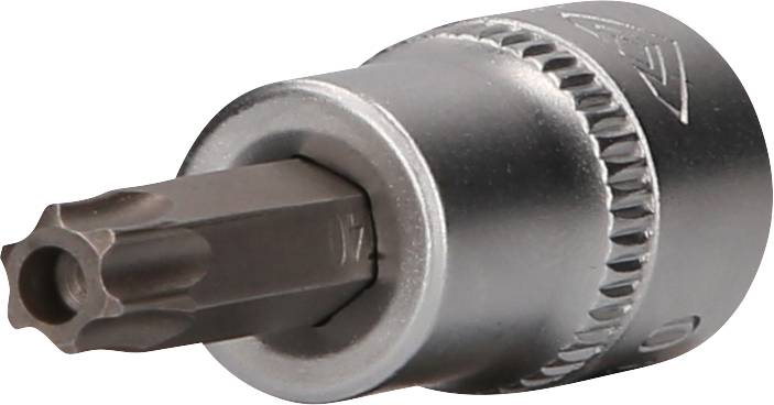 Metallische Schraubendreher-Einsatz mit Torx-Profil, zylindrischer Griff für manuelle oder maschinelle Anwendung.