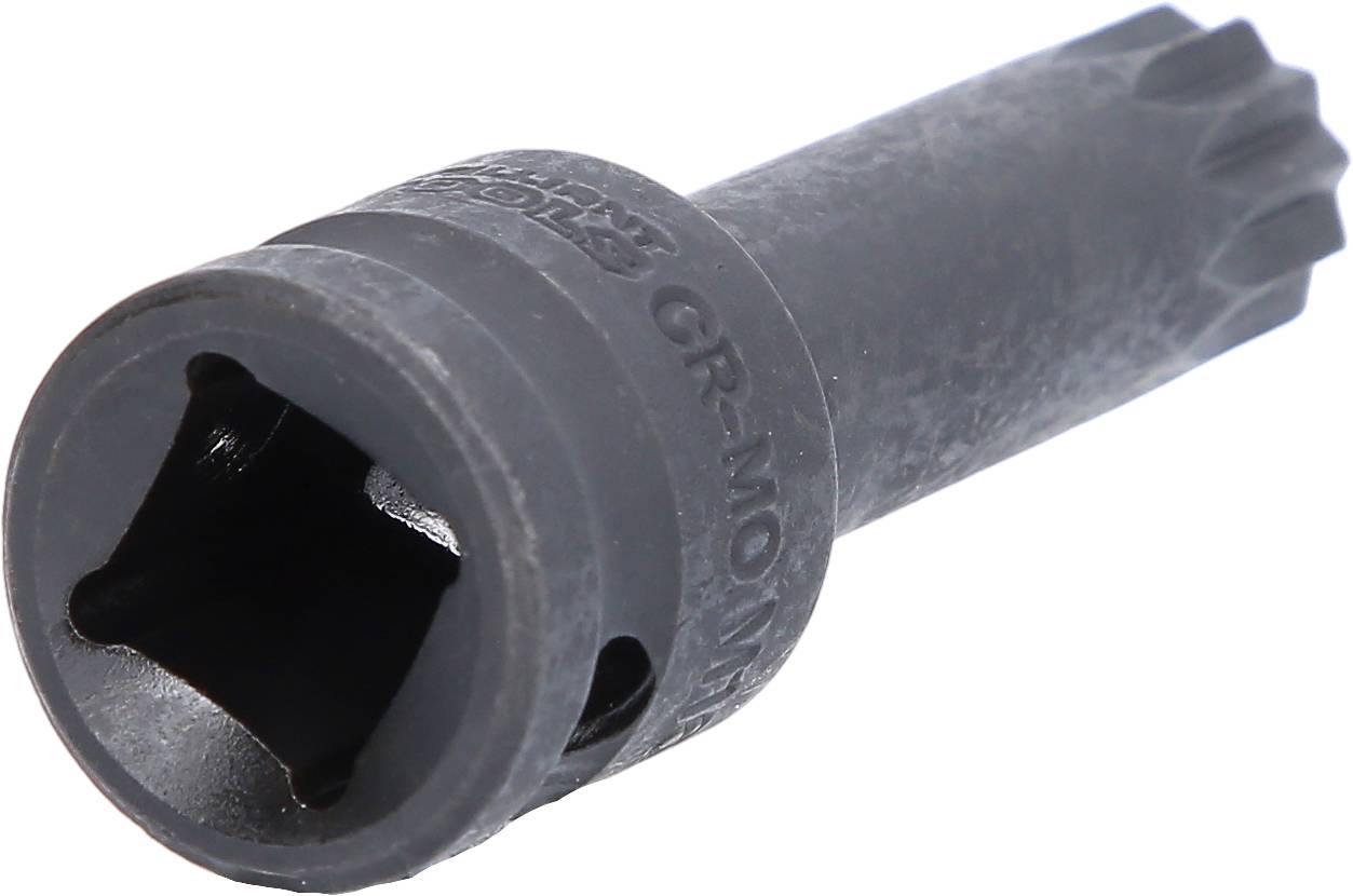 Ein schwarzer, gezackter Steckschlüsseleinsatz für einen Schraubenschlüssel, zur Verwendung bei speziellen Befestigungselementen.