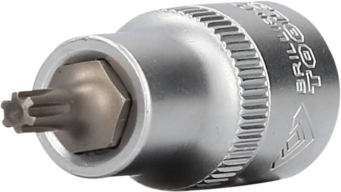 Ein silberner Steckschlüsselaufsatz mit Torx-Profil zeigt die Verzahnung deutlich. Geeignet für mechanische Arbeiten.