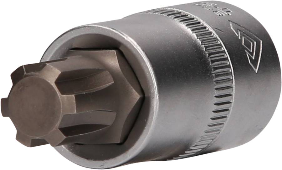 Ein metallischer Vielzahn-Steckschlüsselaufsatz, der zum Anziehen oder Lösen von Schrauben und Muttern in einem Werkzeugkasten verwendet wird.