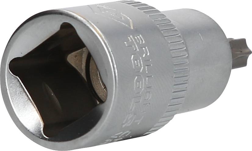 Ein silberner Steckschlüsseleinsatz (Vierkantschlüssel) mit einer gerändelten Oberfläche und einer Öffnung für den Torx-Schlüssel.