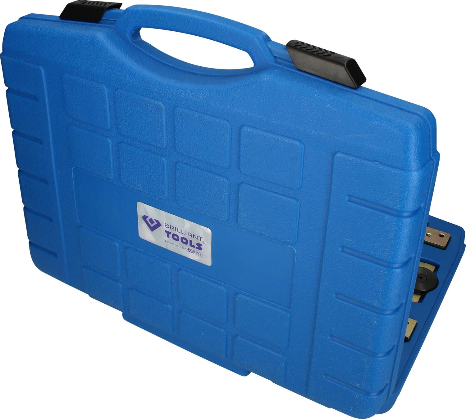 Brilliant Tools BT591600 Motor-Einstellwerkzeug für BMW für M42, M44, M50, M52, M54, M56