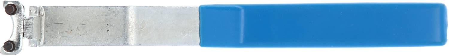 Brilliant Tools BT594655 Spannwerkzeug für Renault