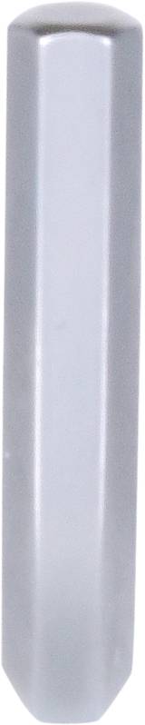 Ein graufarbener, zylindrischer Metallstift auf einem weißen Hintergrund.