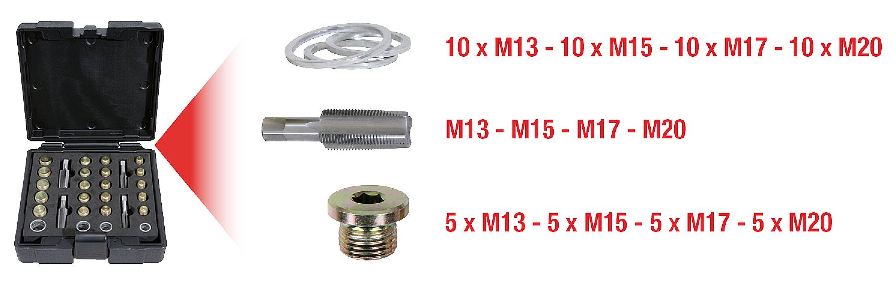 Satz Schrauben und Zubehör in verschiedenen Größen: 10 x M13, 10 x M15, 10 x M17, 10 x M20, in einem schwarzen Koffer sortiert.
