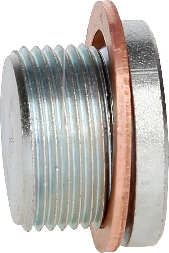 Metallschraube mit integriertem Dichtring, seitliche Ansicht, zeigt Gewinde und Dichtung.