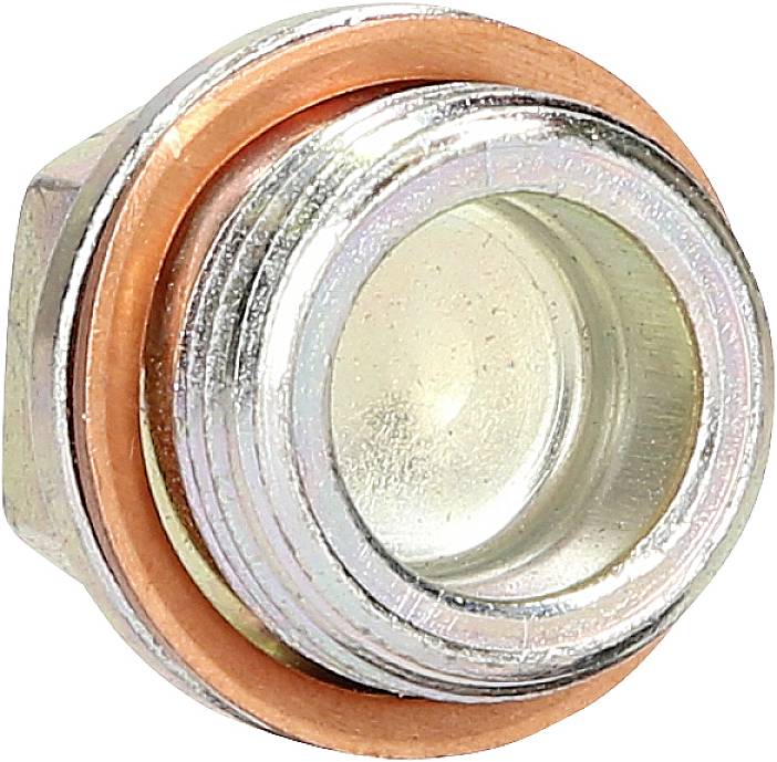 KS Tools 4300610 Ölablassschraube M22 x 1,5 x 21 mm für Iveco