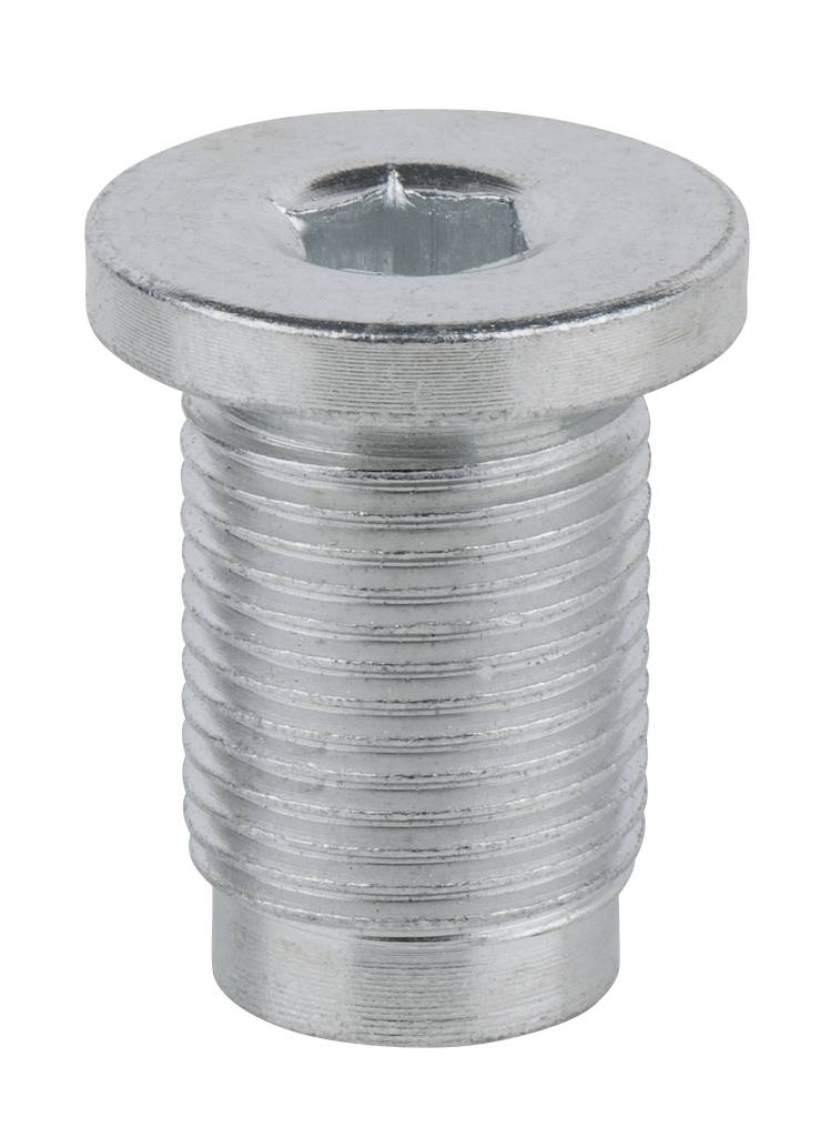 Metallschraube mit rundem Kopf und sechseckiger Vertiefung zur Befestigung.