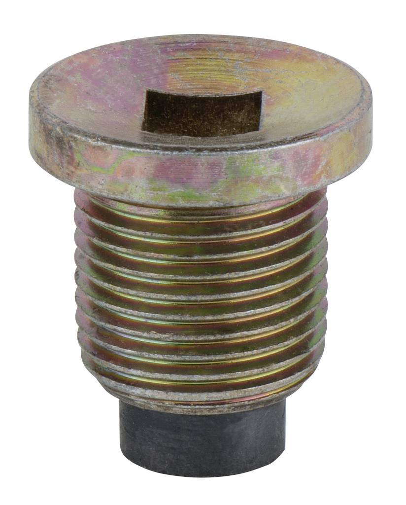 Metallschraube mit flachem Kopf und Innengewinde, leicht rostig, vor weißem Hintergrund.