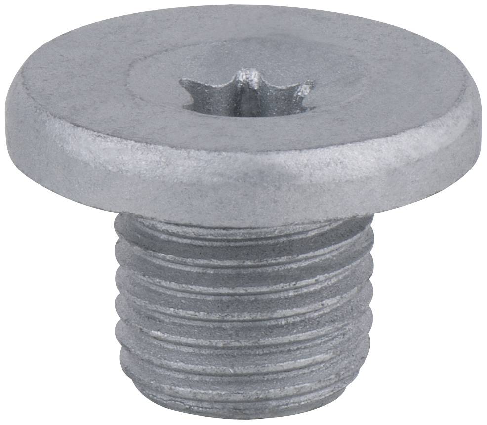 Metallschraube mit flachem Kopf und Innen-Sternantrieb, geeignet für Befestigungen in harten Materialien.
