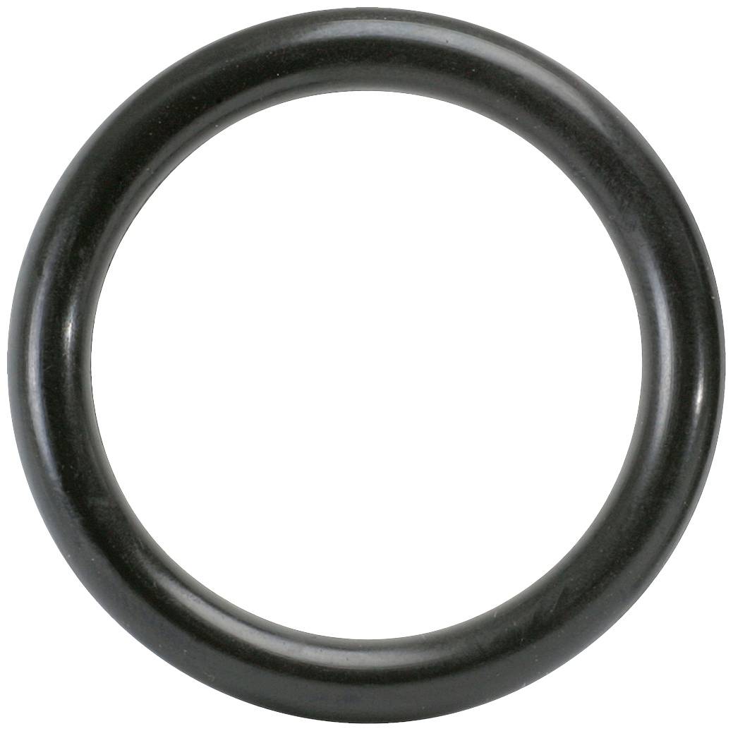 Ein schwarzer O-Ring aus Gummi, kreisförmig und gleichmäßig, dient als Dichtung oder mechanische Dämpferkomponente.