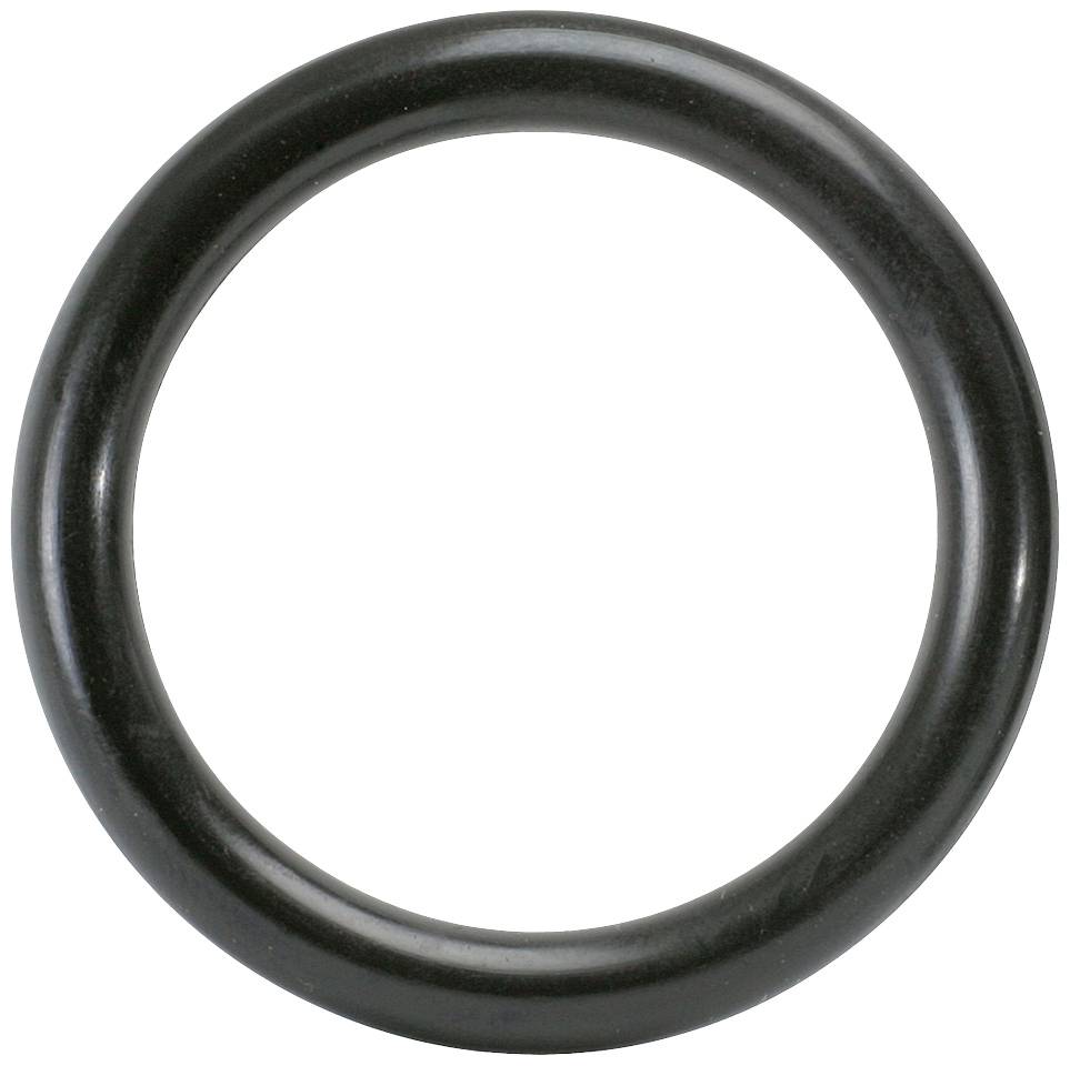 Ein grauer, kreisförmiger O-Ring aus Gummi, vor weißem Hintergrund dargestellt.