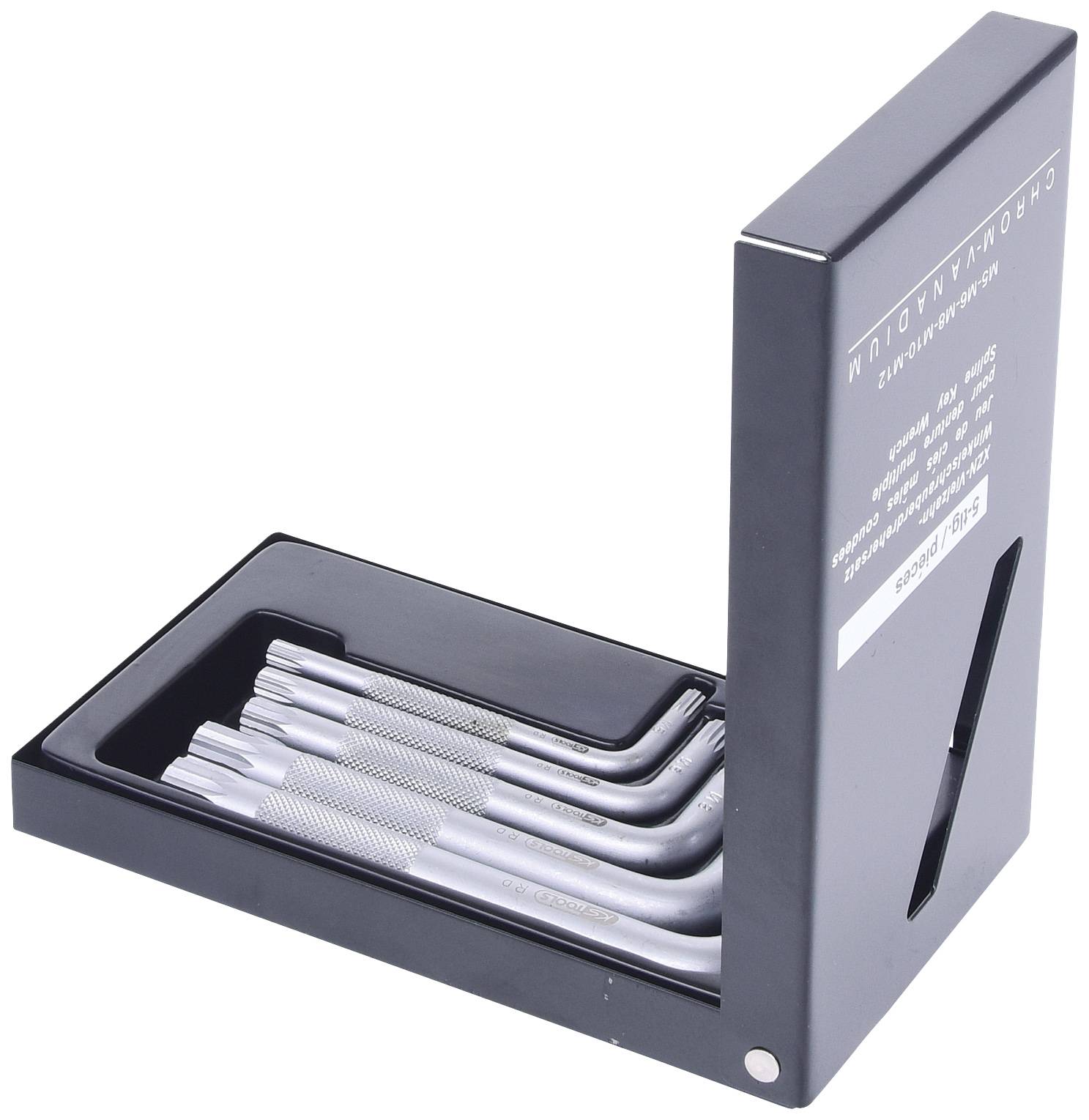 Satz von fünf chirurgischen Instrumenten mit gebogenen Spitzen in schwarzer Aufbewahrungsbox, Darstellung des Instrumentsatzes im geöffneten Zustand.
