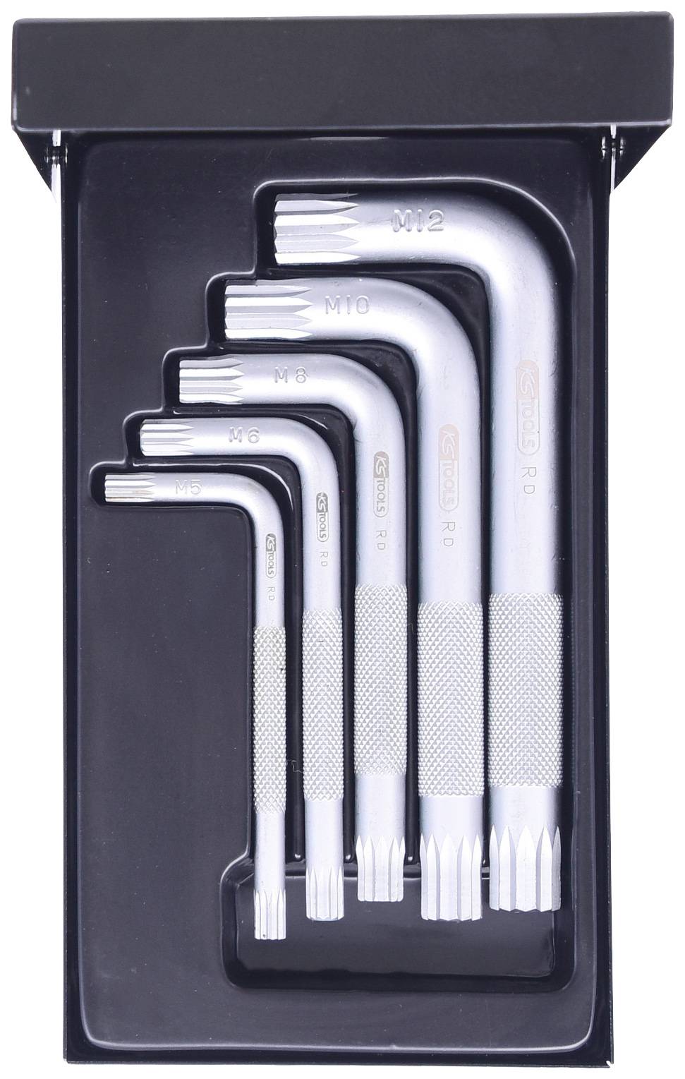 Satz von fünf silbernen Torx-Schlüsseln in verschiedenen Größen, geordnet in einem schwarzen Kunststoffetui.