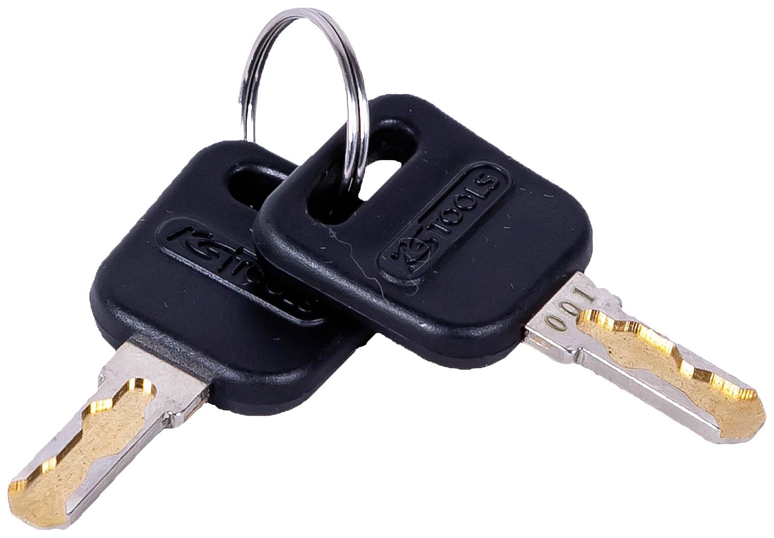 Zwei schwarze Schlüssel mit einem kleinen Ring verbunden, jeweils mit metallischen Zähnen und unterschiedlichen Profilen.