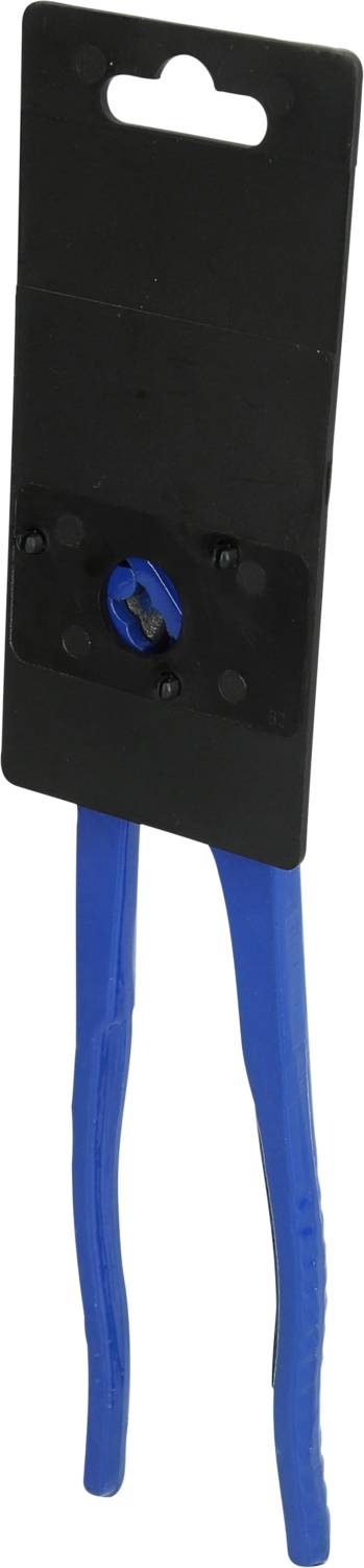 Brilliant Tools BT064900 BT064900 Wasserpumpenzange 250mm