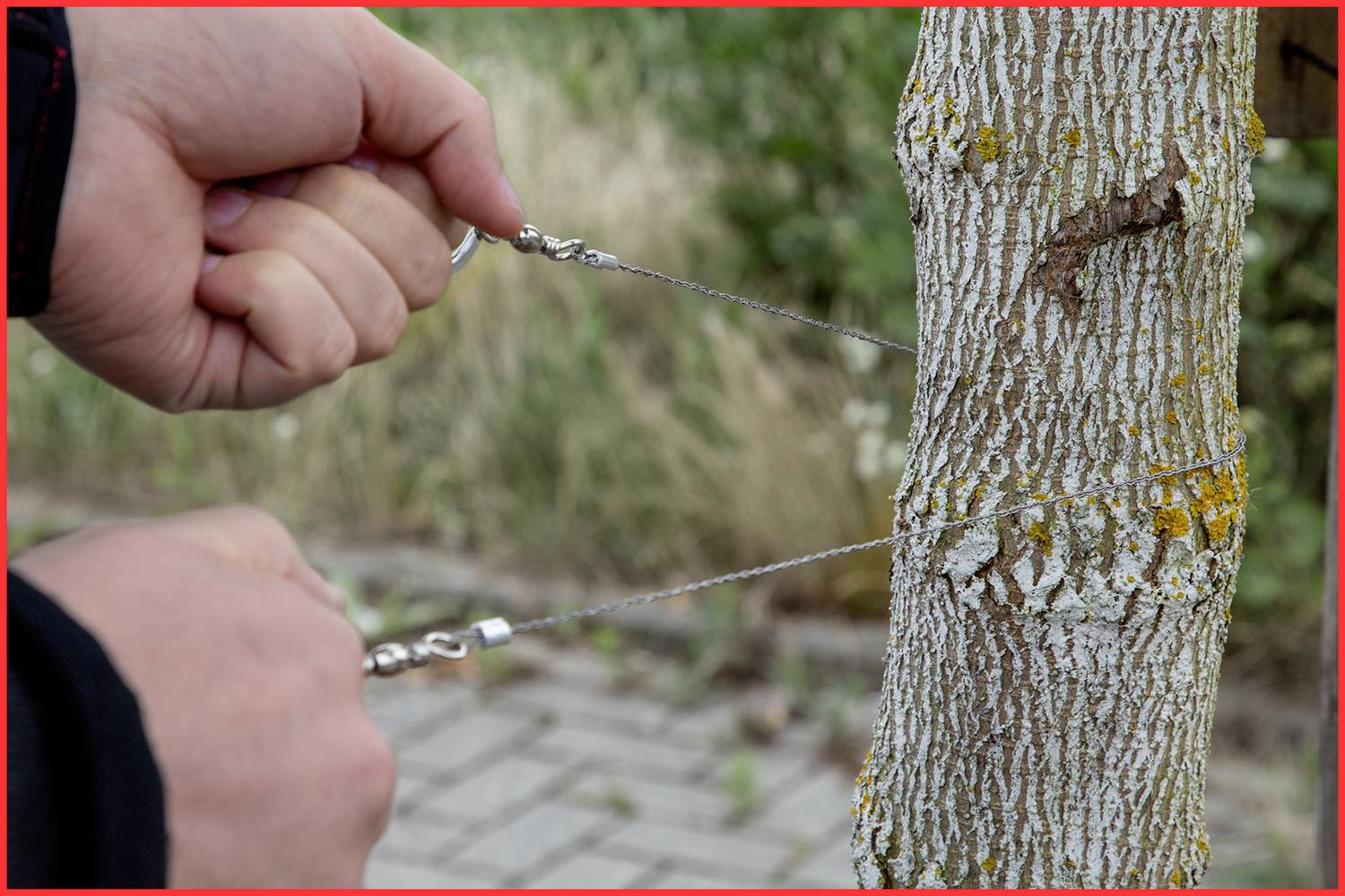 Zwei Hände halten einen Drahtseil, der um einen Baumstamm geschlungen ist. Der Baum zeigt Anzeichen von Rinde mit Flechtenbewuchs.