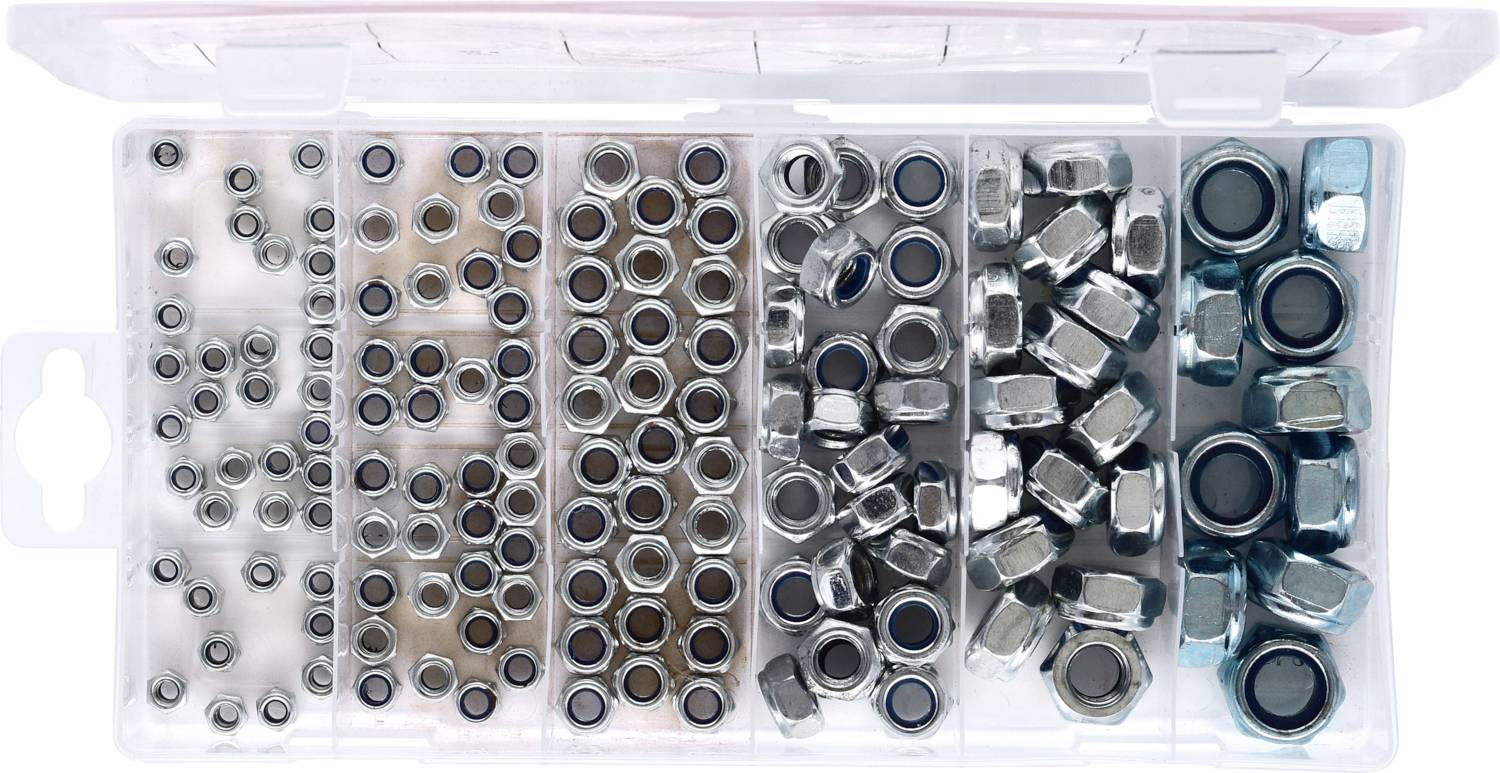 Sortiment von Metallmuttern in einem transparenten Organizer. Unterschiedliche Größen sind in separaten Fächern geordnet.
