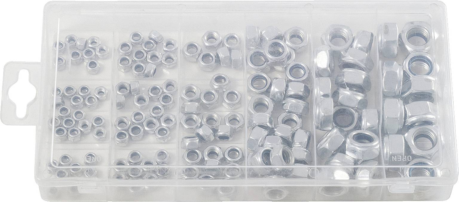 Eine Plastikbox mit verschiedenen Größen von silbernen Sechskantmuttern in getrennten Fächern.