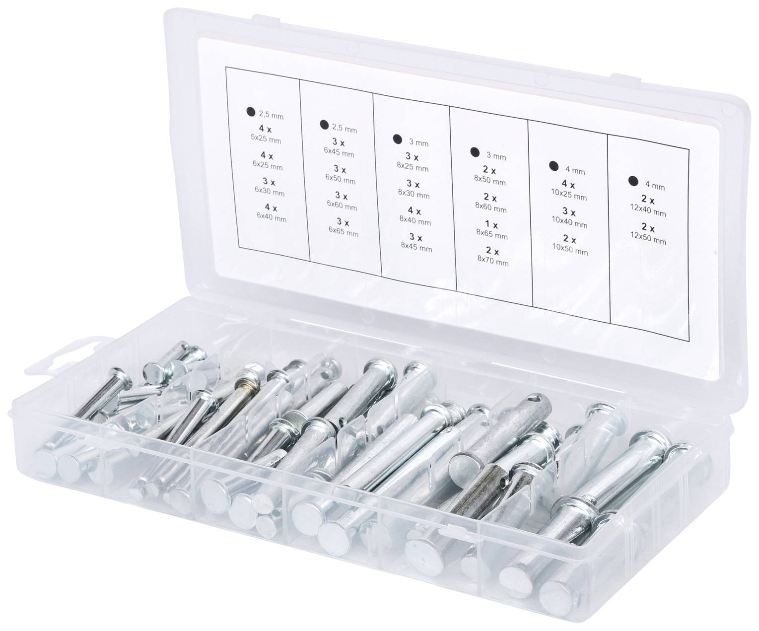 Plastikbox mit Metall-Dübeln verschiedener Größen, offen mit sichtbar sortierten Fächern und Größenbeschriftung auf dem Deckel.