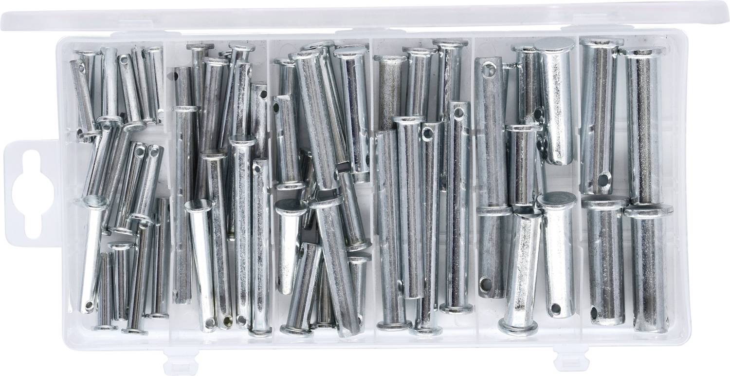 Eine durchsichtige Plastikbox mit verschiedenen Größen von Metallstiften und Bolzen, größtenteils silberfarben, gleichmäßig verteilt.