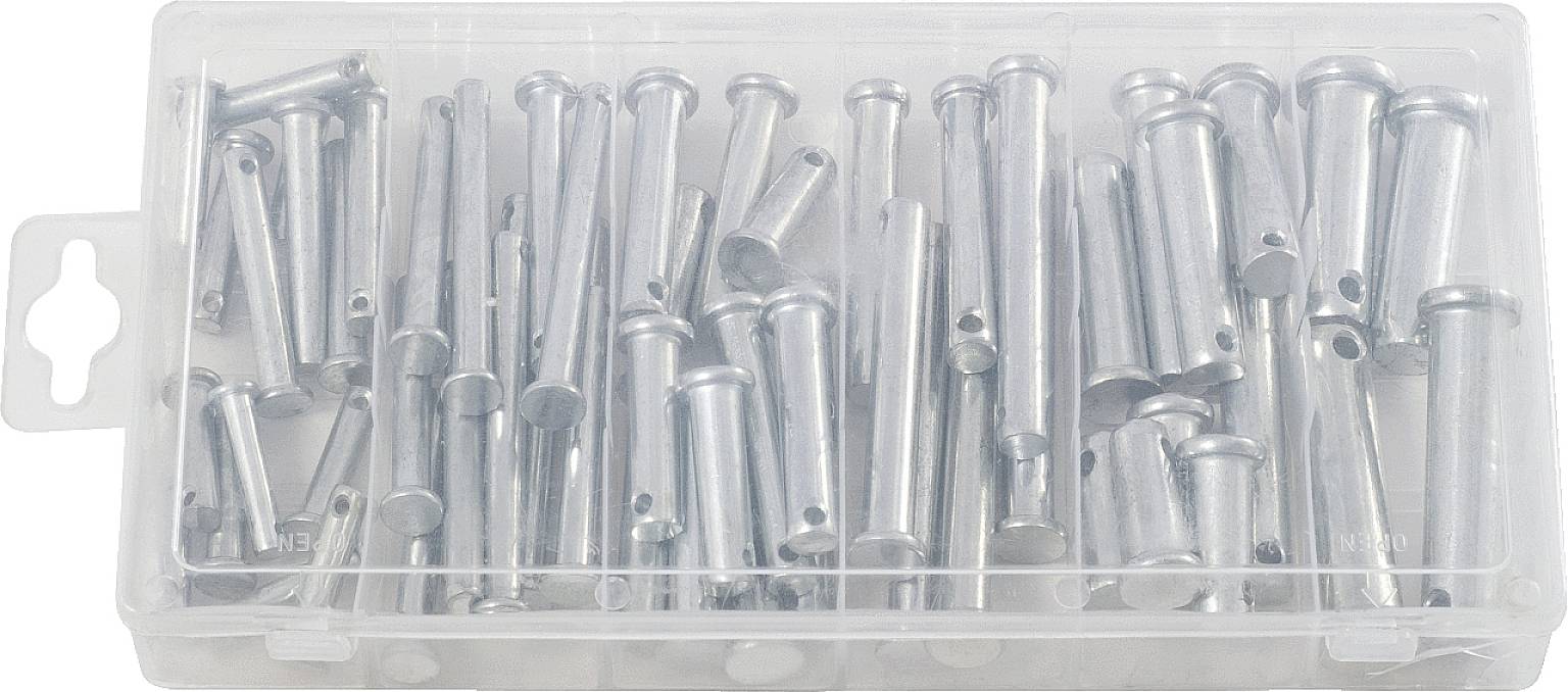 Eine transparente Kunststoffbox enthält zahlreiche silberne Metallstifte, die ordnungsgemäß angeordnet sind.