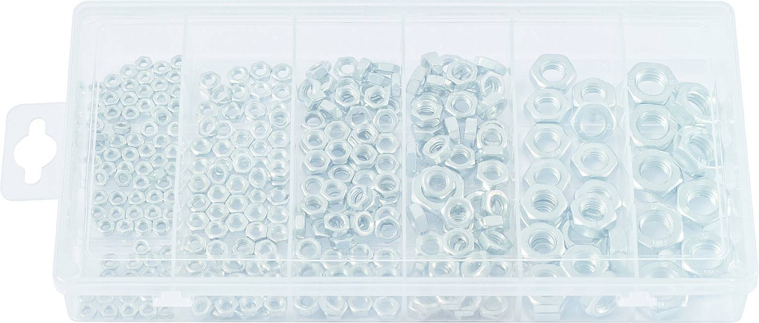 Eine offene Plastikbox mit sechs Fächern, die verschiedene Größen von silbernen Sechskantmuttern enthält.