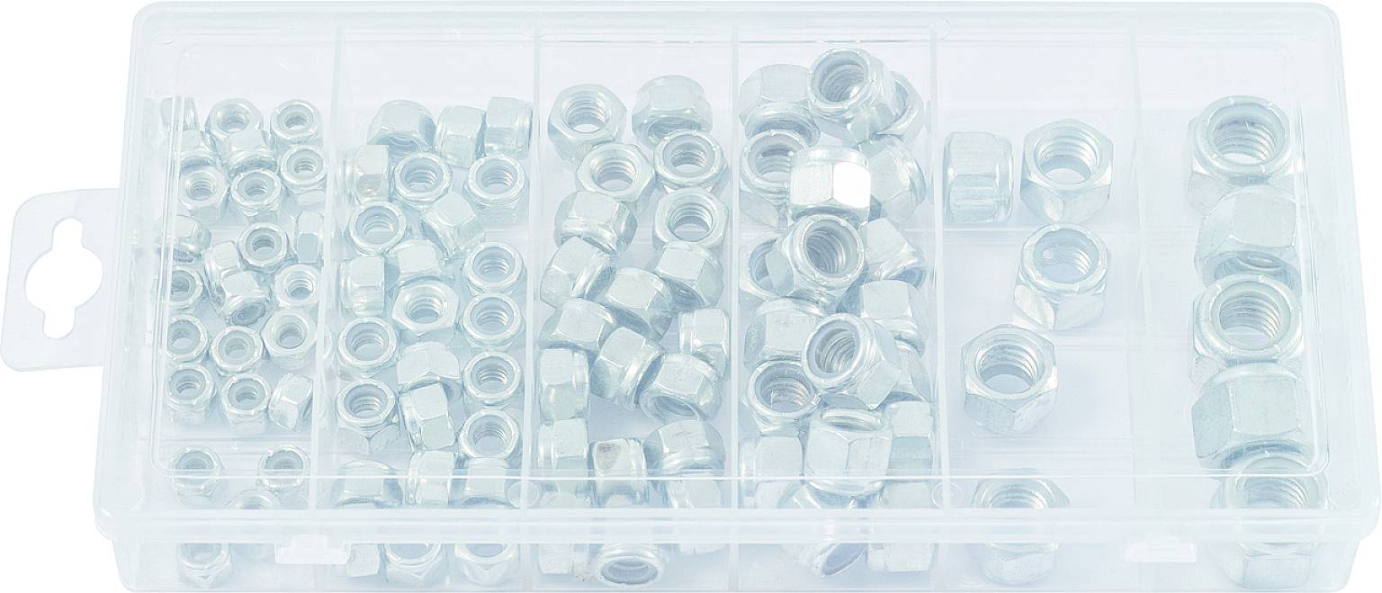Plastikbox mit Metallmuttern in verschiedenen Größen, gleichmäßig in Fächern sortiert.