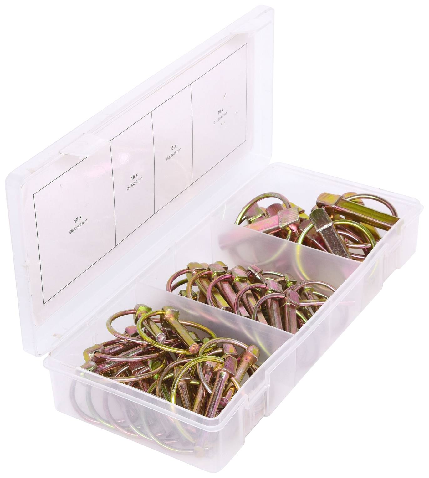 Plastikbox mit vier Fächern, gefüllt mit unterschiedlich großen, gold- und silberfarbenen Schrauben und Muttern.