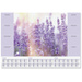 Sigel HO308 Schreibunterlage Fragrant Lavender 3-Jahreskalender Lila (B x H) 59.5cm x 41cm