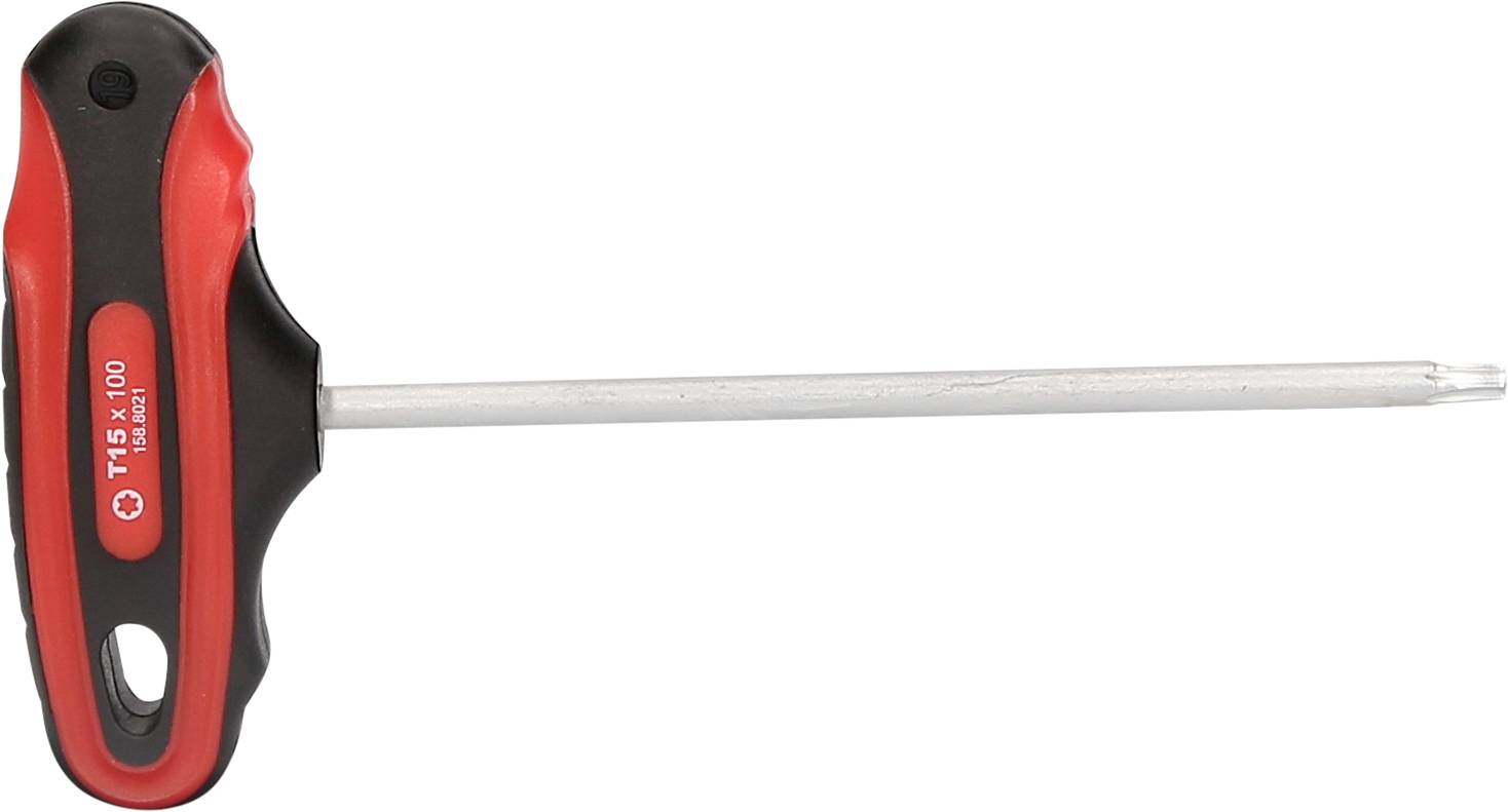 Roter und schwarzer T-Griff-Schraubendreher mit einem langen Metallstab und der Aufschrift 'T15 x 100'.