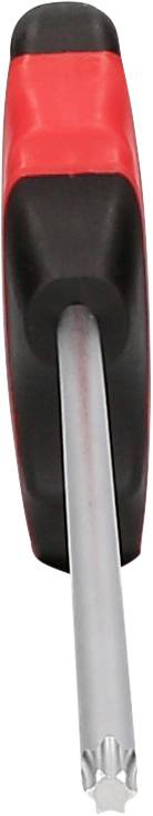 Ein Schraubendreher mit rotem und schwarzem Griff, von oben betrachtet, zeigt den Torx-Kopf aus Metall.