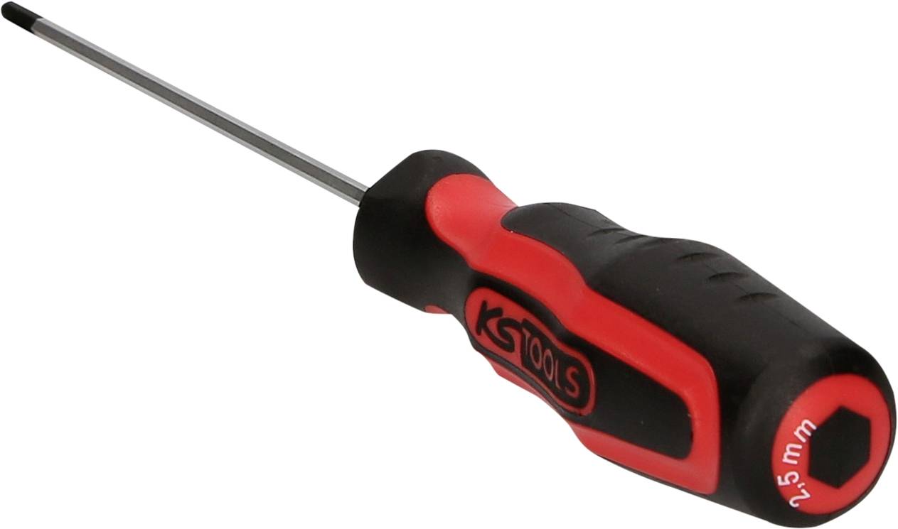 Ein Schraubendreher mit schwarzem und rotem Griff, gekennzeichnet mit '2,5 mm' für den Durchmesser, liegt auf weißem Hintergrund.