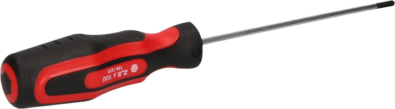 Ein Schraubendreher mit schwarzem und rotem Griff und einem Schlitzkopf.