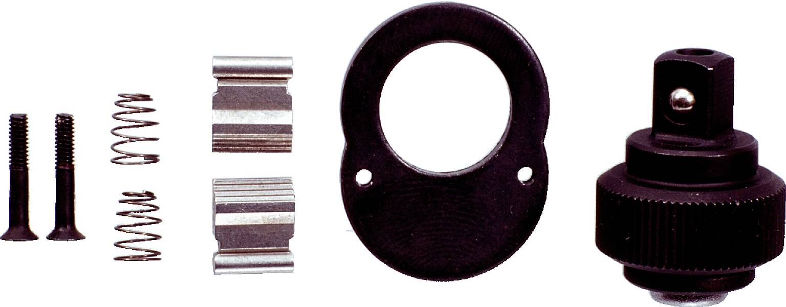 Einzelteile eines Reparatursatzes für eine Ratsche: zwei Schrauben, zwei Federn, zwei Zahnräder, eine runde Platte, ein Drehmechanismus.