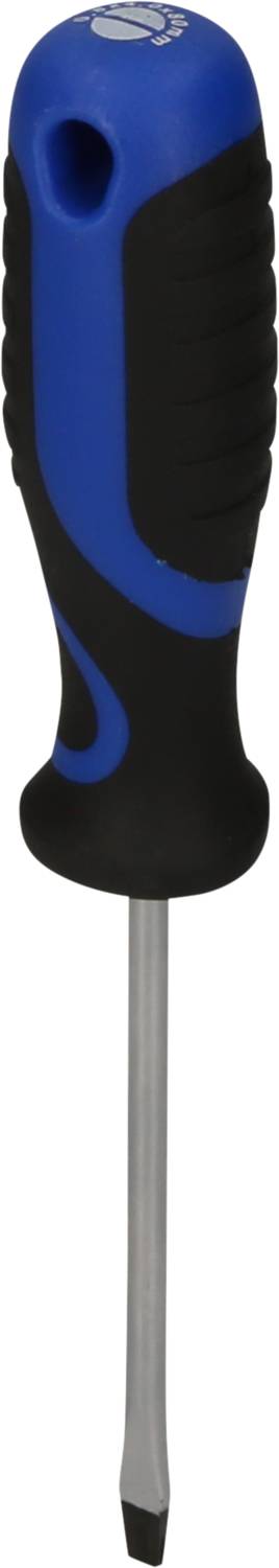 Schraubenzieher mit blau-schwarzem Griff und flacher Spitze.