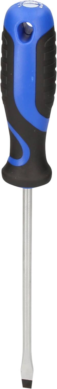 Ein blauer und schwarzer Schraubendreher mit einem Flachkopf und einem ergonomischen Griff.