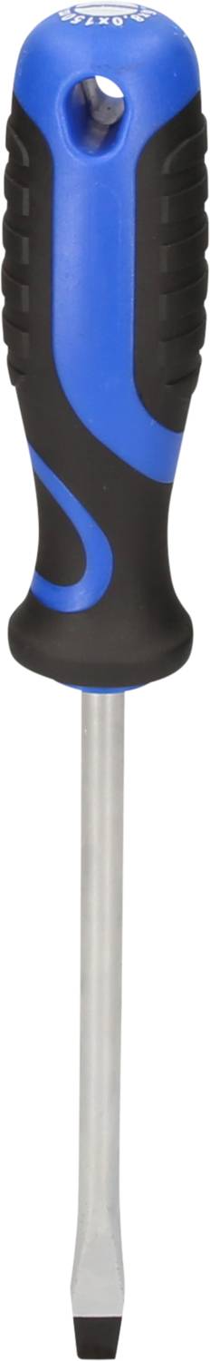 Ein blau-schwarzer Schraubendreher mit einem ergonomischen Griff und einer flachen Klinge.