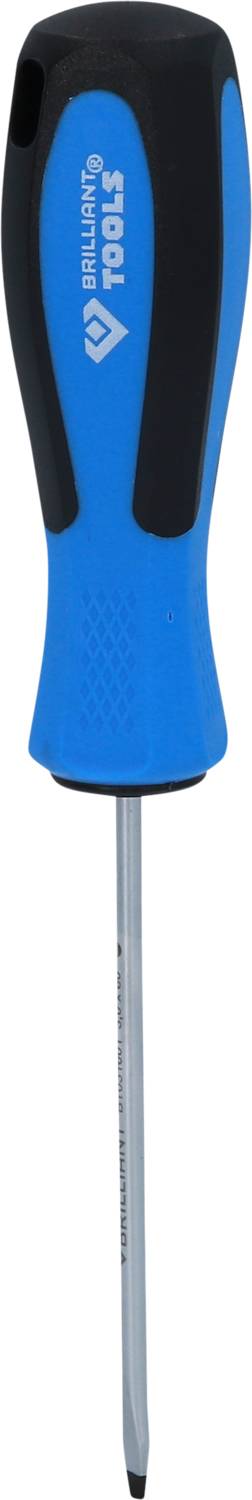 Blauer Schraubendreher mit schwarzem Griff, Kreuzschlitzkopf. Markierung 'Tool' auf dem Griff sichtbar.