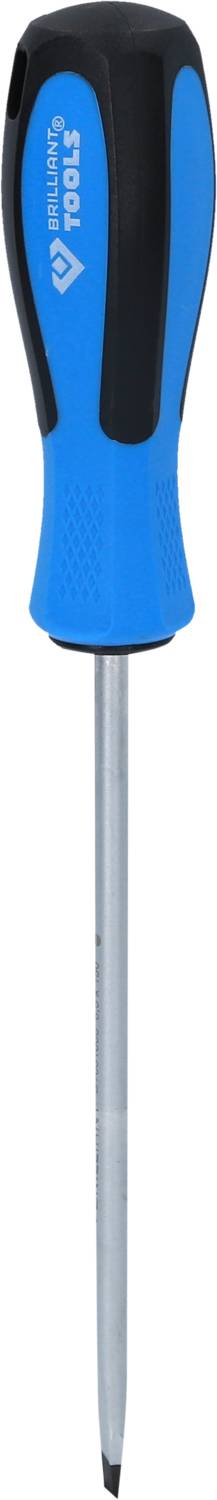 Schraubendreher mit einem blauen Griff und einer flachen Klinge.