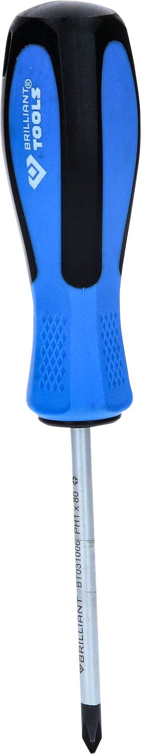 Blauer Schraubendreher mit schwarzem Griff und Kreuzschlitzspitze.