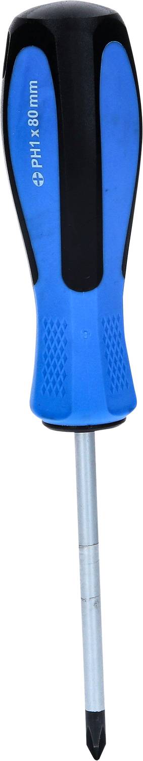 Ein blauer Kreuzschlitzschraubendreher mit schwarzem Griff und silberner Spitze.