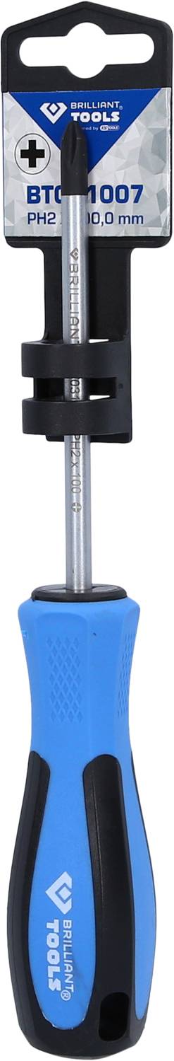 Blauer Schraubendreher mit schwarzem Griff und Metallspitze, auf einer Verpackung befestigt. Geeignet für PH2-Schrauben, 100 mm Länge.