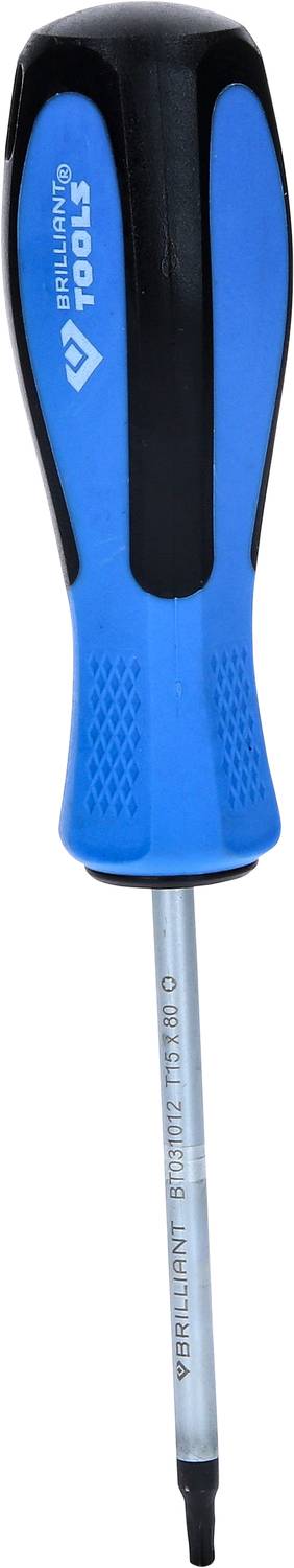 Blauer Schraubendreher mit schwarzem Griff und silberner Spitze, vertikal ausgerichtet.