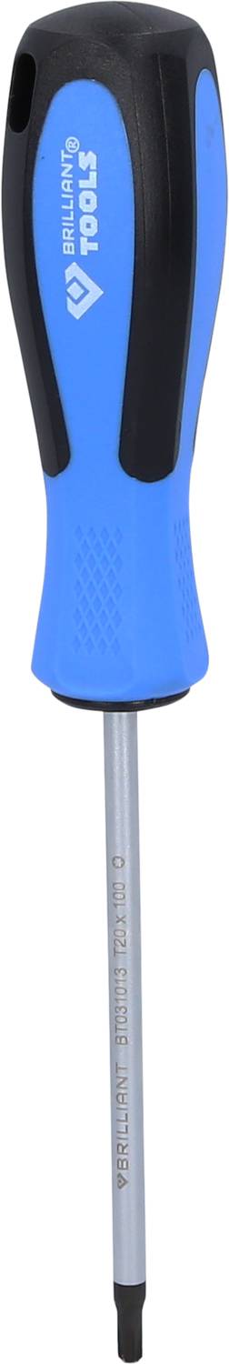 Schraubendreher mit blauem Griff und schwarzem Gummi-Detail, geeignet für Bau- oder Reparaturarbeiten. Markenname auf dem Griff.