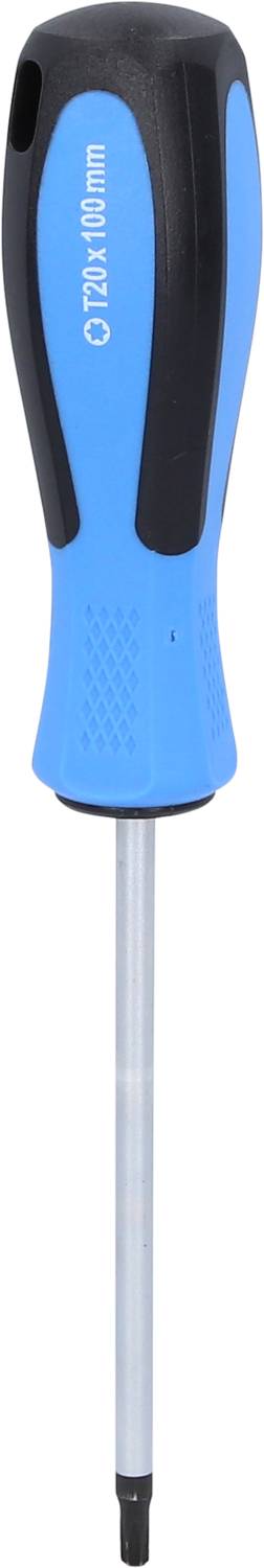 Blauer Schraubendreher mit schwarzem Griff, T10-Torx-Spitze, Griff beschriftet mit '100 x 2mm', für präzise Anwendungen geeignet.